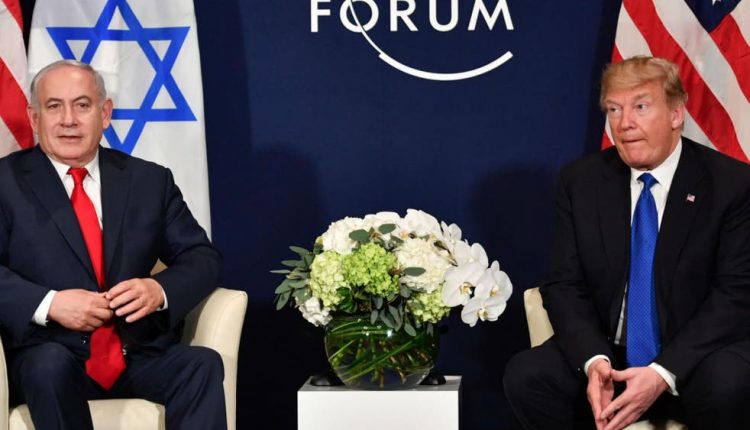 A two people standing and middle of flowers